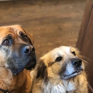 Meet your Posher, Maraya